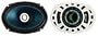 Bazooka 6 x 9 in. 2-Way Marine Speaker (M690)