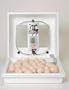 Miller Circulated Air Incubator W Fan White 17 Inch - 10200