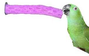 Pollys Pet Products Tooty Fruity Bee Pollen 6in Small Bird Perch Assorted Flavors