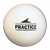 deBeer Field Hockey Practice Ball