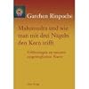 Mahamudra und wie man mit drei N�geln den Kern trifft: Erkl�rungen zu unserer urspr�nglichen Natur