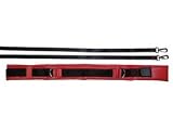 Spotting & Training Belt - Medium/Red