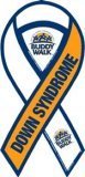 Down Syndrome Awareness Ribbon Magnet