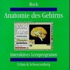 Anatomie des Gehirns. CD- ROM für Windows 3.1/95/ NT. Interaktives Lernprogramm