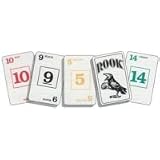 Rook Family Party Card Game