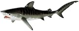 21WE5YREE8L. SL160  Monterey Bay Aquarium   Tiger Shark