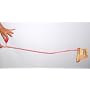 Invisible Dog Leash with Squirter - Your Invisible Dog Goes Potty