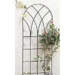 Gardman R554 48-Inch by 16-Inch Metal Gothic Trellis
