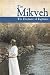 The Mikveh - The Doctrine of Baptisms