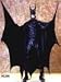 Batman Collectors Adult Costume