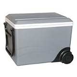 Koolatron 12 Volt Cooler and Warmer