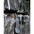 Anselm Kiefer