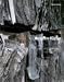 Anselm Kiefer