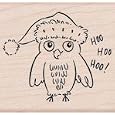 Hoo Hoo Flower by Hero Arts