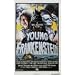 Young Frankenstein / Spaceballs Double Feature