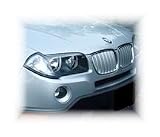 BMW E83 X3 Chrome Mesh Grille Insert 04-06