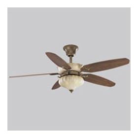 Progress Lighting Le Jardin Ceiling Fan P2511-91C Biscay Crackle by Progress Lighting