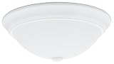 Flush Mounted Light Fixtures