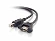 Cables to Go 28065 USB 2.0 A Female to B Male Panel Mount Cable (Black)