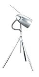 Lite Source Martian Accent Desk Lamp LS-131SILV Image