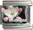 Clearly Charming Michigan State Flower Apple blossom Italian Charm Bracelet Link