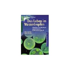 Das Leben im Wassertropfen