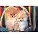   - Pomeranian 300pc Puzzle 2007