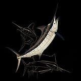 Billfish Slam Black T-Shirt