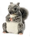  : Grey Squirrel Glove Puppet