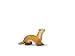 Marten Image