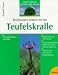 Bücher : Beschwerden lindern mit der Teufelskralle