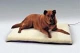 K and H Large Ortho Thermo Bed with Blue Bottom