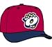 Minor League Baseball Cap - Orem Owlz Alt 1 Cap by New Era