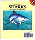 Sharks