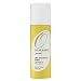 Oscar Blandi Pronto Dry Shampoo Spray To Go
