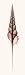 Tibia (Sepia) - Steven Meyers Art Print Poster 8 x 24