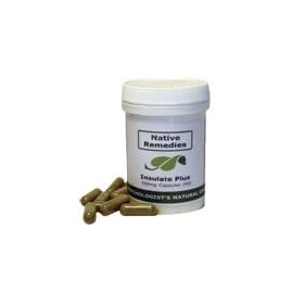 Insulate Plus for Diabetes and Healthy Living