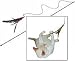 Kitchen & Housewares : Da Bird Cat Toy