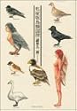 私家版鳥類図譜 (KCデラックス)