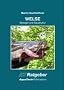 Welse (Siluridae): Biologie und Aquakultur