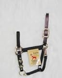 Hamilton Halter Company 2-3 Adj Halter W Lthr Hdpl & S Black Weanling - 3DLAS WNBK