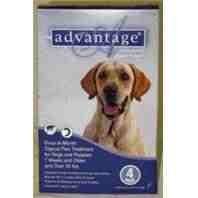 F.C.E. INC ADVANTAGE DOG BLUE 55+# 4PK