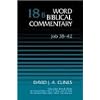 Job 38-42: 18B (Word Biblical Commentary)