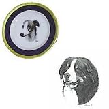 Bernese Mountain Dog 10' Cobalt Plate, Porcelain by Rosalinde (10' diameter)