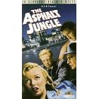 Asphalt Jungle [VHS]