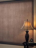 Cellular Shades - Graber - CrystalPleat Double Cell (Day Dream) w/Top Down/Bottom Up