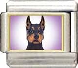 Clearly Charming Doberman Italian Charm
