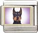 Clearly Charming Doberman Italian Charm