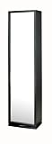 Adesso Turner Mirror/Wardrobe, Black