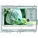Classification of Animals (CD ROM)